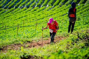 BIB: 
                            <button type="button" onclick="openModal(19161633)" class="btn btn-primary btn-sm float-right btn-popup" data-toggle="modal" data-target=".modal-high-quality">
                        <i class="fas fa-shopping-cart"></i> Add to Cart
                    </button>
                                            <button type="button" onclick="isThisMe(19161633, true)" class="btn btn-success btn-sm float-right btn-popup btn-isme hidden" data-toggle="tooltip" data-placement="bottom" title="นี่คือรูปของคุณใช่ไหม คลิกที่นี่เพื่อเอาเข้าอัลบั้ม">
                        <i class="fas fa-plus"></i> Add to album
                    </button>
                    <button type="button" onclick="isThisMe(19161633, false)" class="btn btn-warning btn-sm float-right btn-popup btn-isnotme hidden">
                        <i class="fas fa-ban"></i> Remove from album
                    </button>